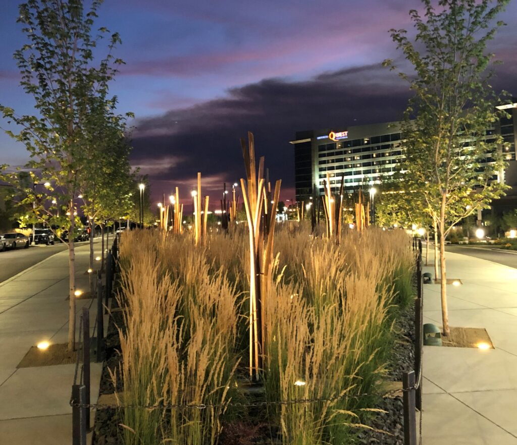 Tule Reeds feature at sunset in front of the Northern Quest casino.