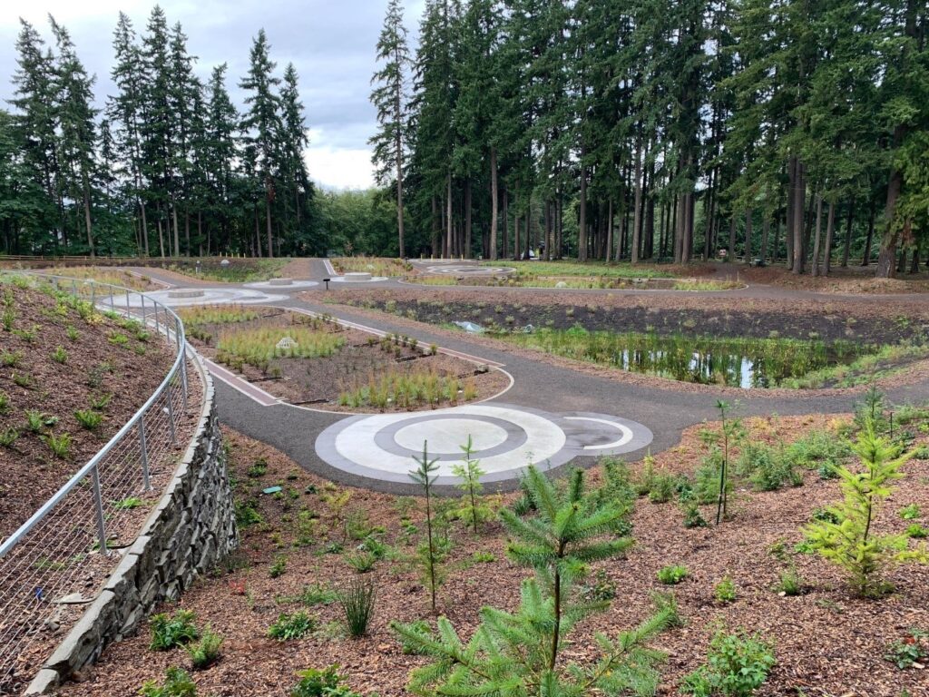 Whispering Firs Stormwater Park with trees in background.