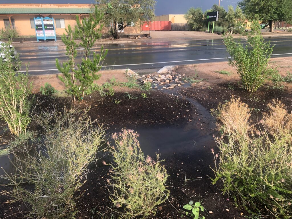 Alameda Drain and Trail