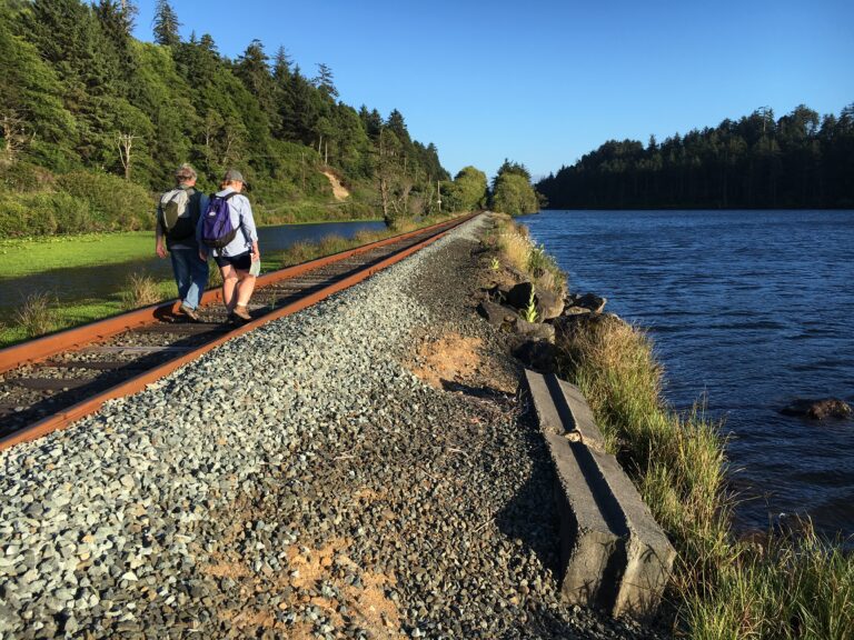 Salmonberry Trail