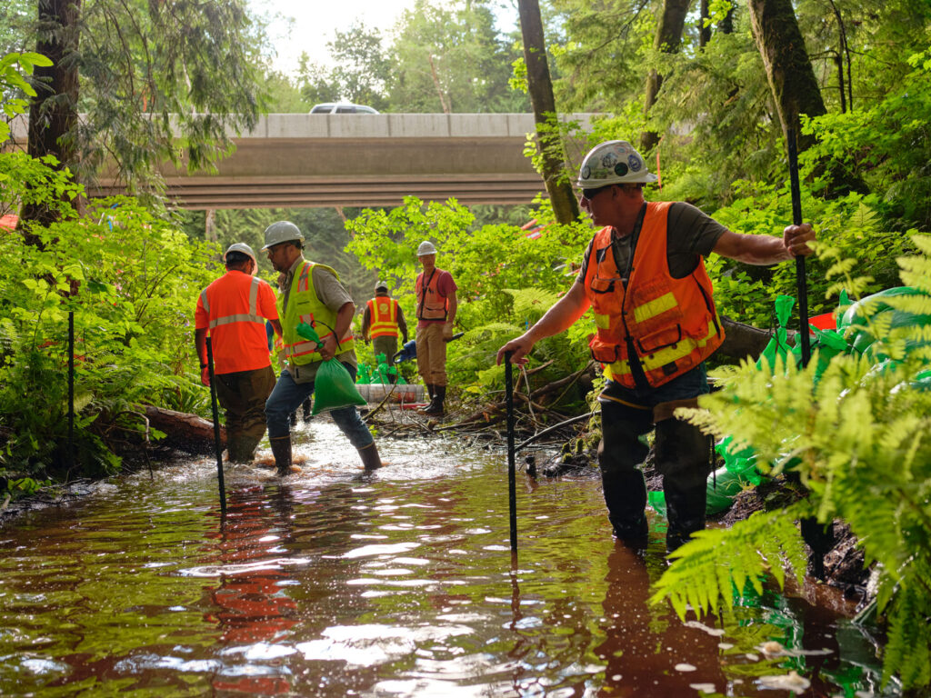 SR 305 Fish Barrier Improvements