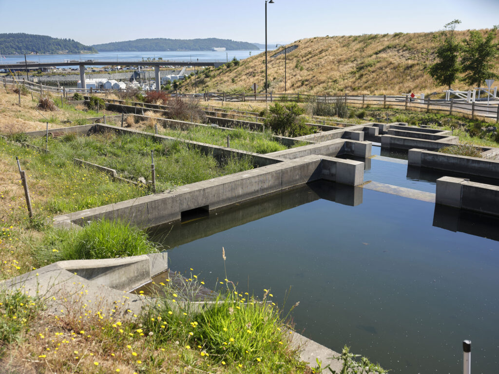 Point Defiance Stormwater Treatment Retrofit