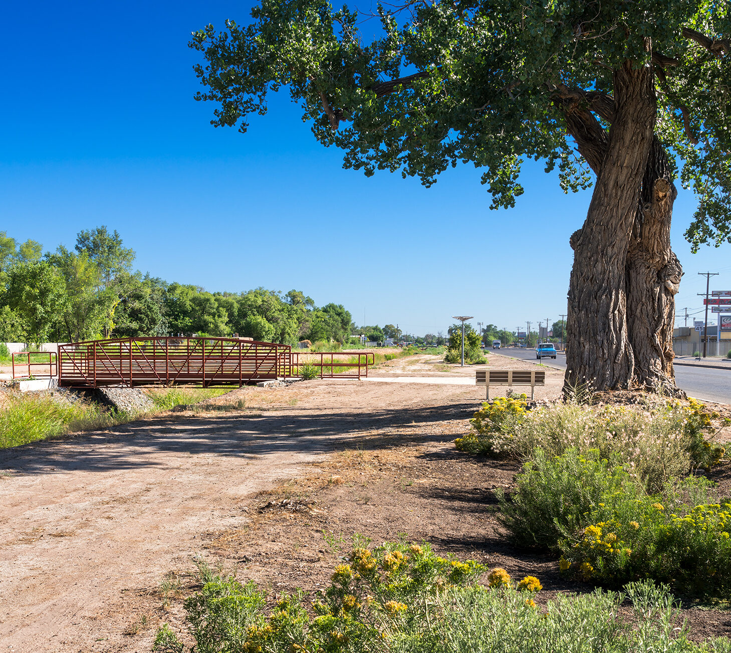 A dirt trail with a pedestrian bridge to the left over a ditch. To the right is a tree and the road.