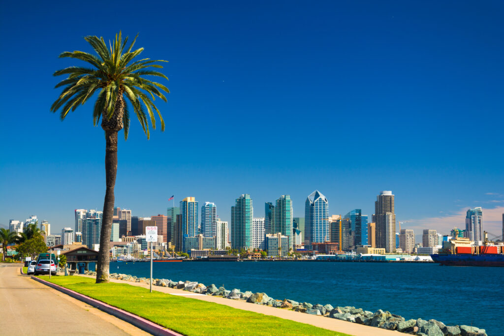 A sidewalk and grass area with a palm tree with the San Diego skyline in the background.