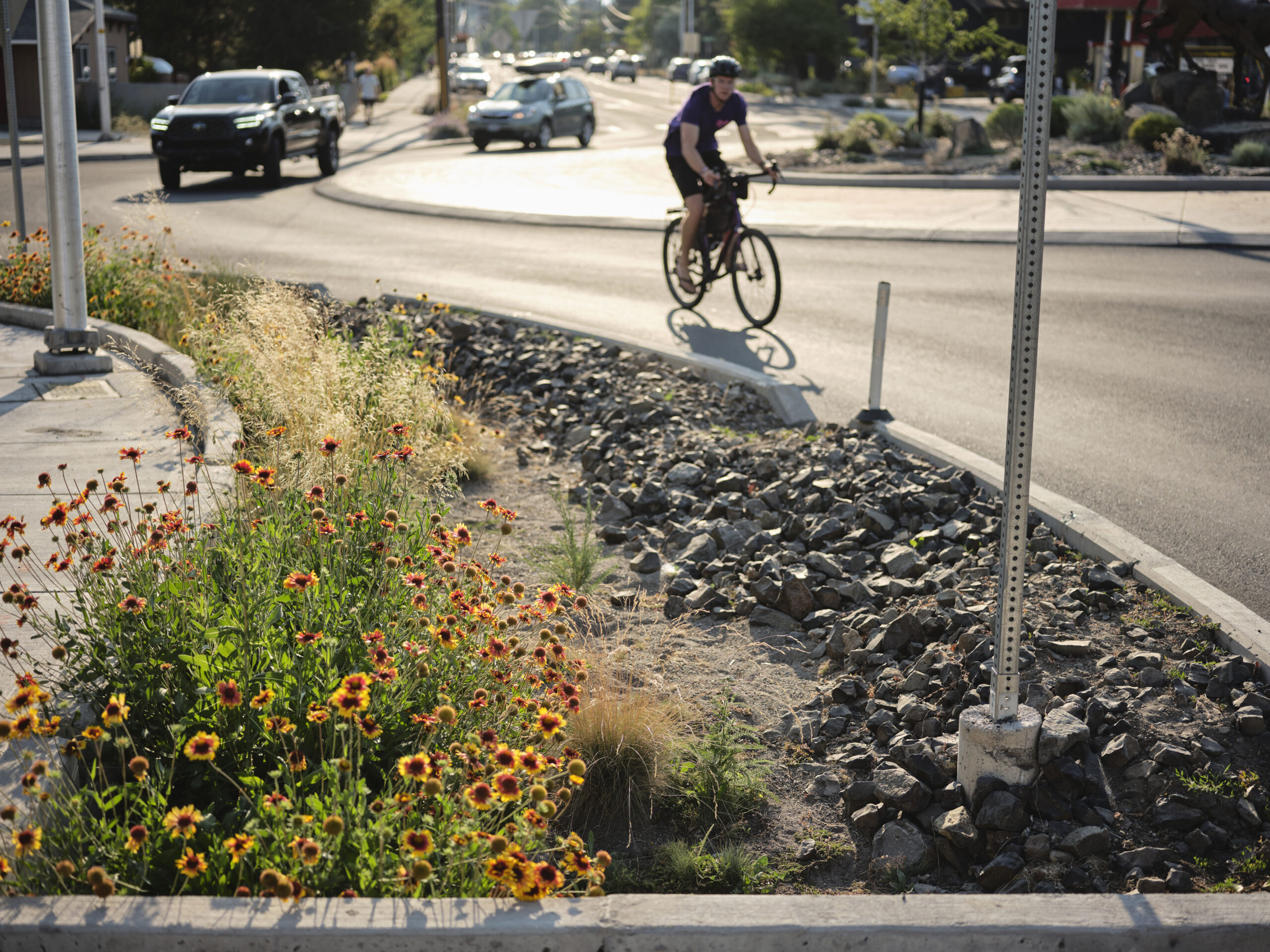 A planter with a roundabout, bicyclist, and vehicles in the background.