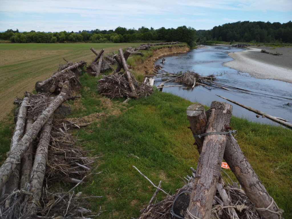 A grassy river bank with logs and woody debris laying on the shore and in the water