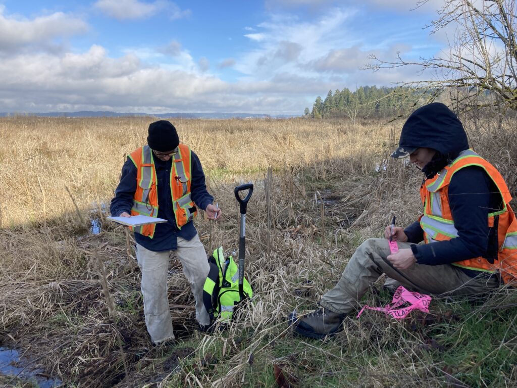 Two people wearing safety vests are in a field with shovels and notepads