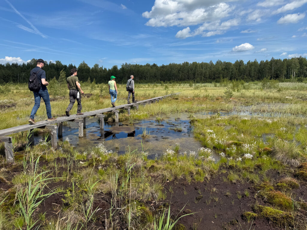 People walk along a path over a bog