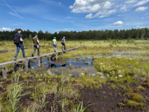 People walk along a path over a bog