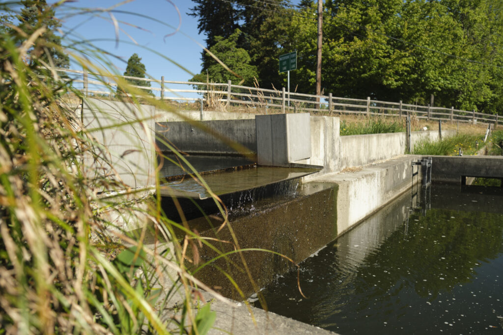 Water flows into a pond
