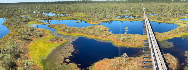 A bird's eye view of a raised bog and walking trail