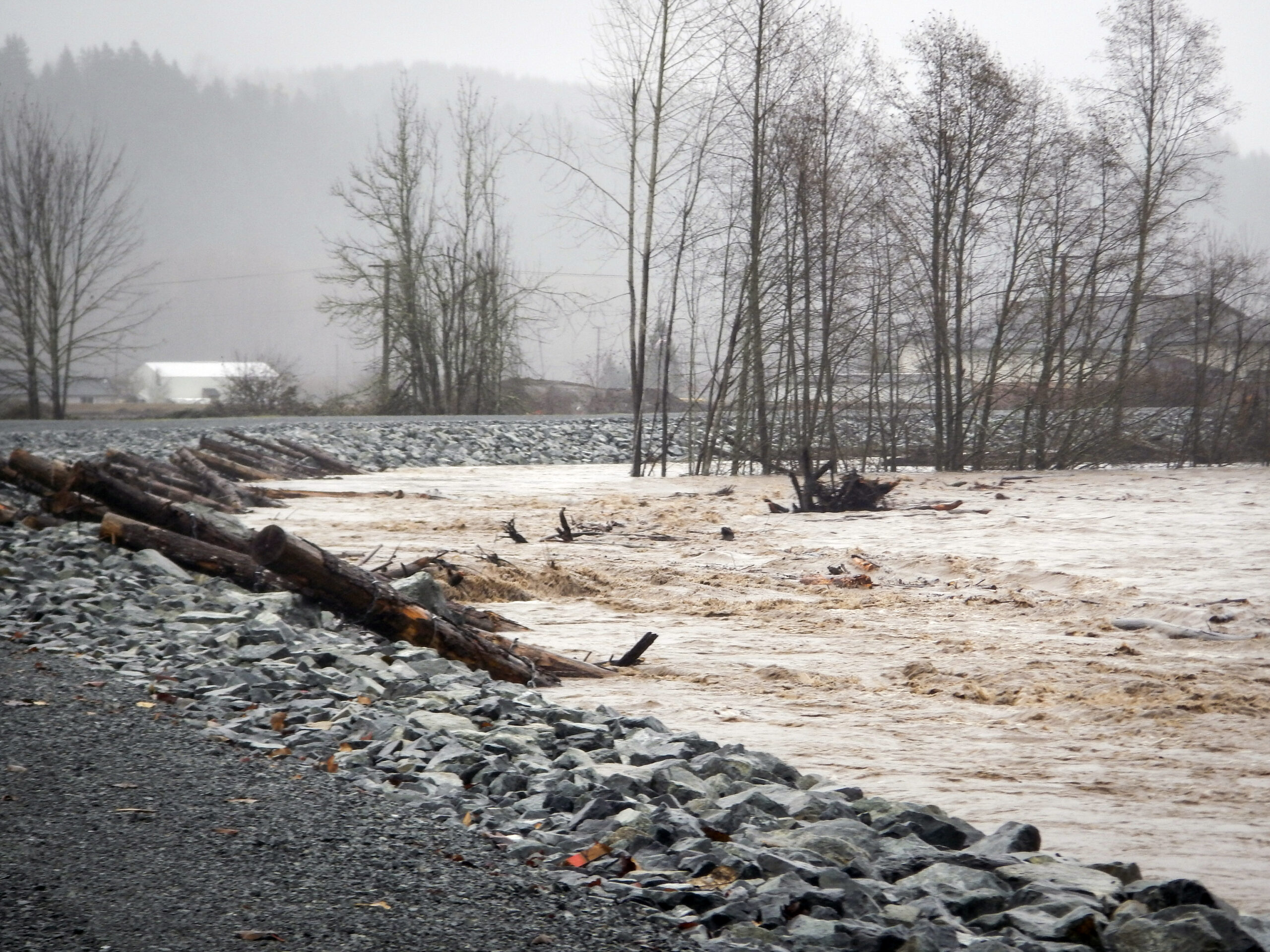 A flooded ditch with rocks and woody debris