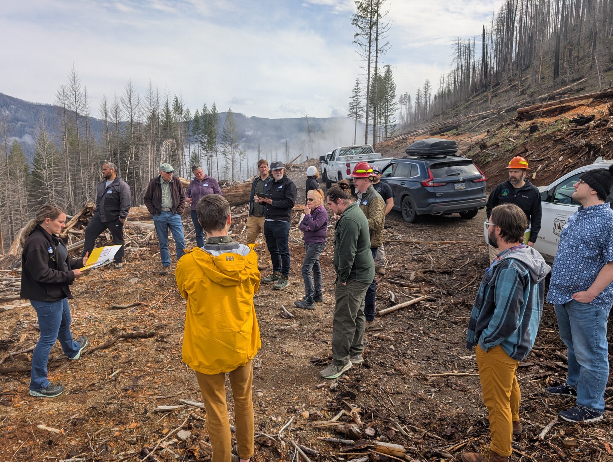A group of people standing along a hillside where trees have been cut down.
