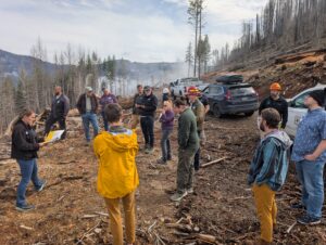 A group of people standing along a hillside where trees have been cut down.