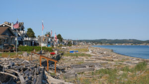 Coastal neighborhood with American flags along a rocky beach and driftwood, calm water, and blue sky.