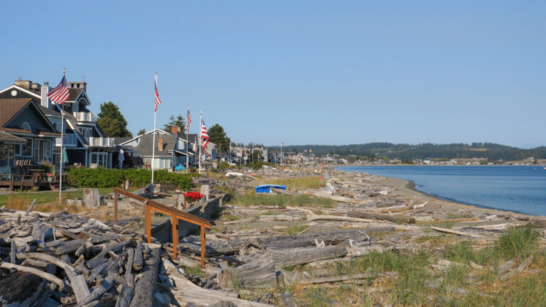 Coastal neighborhood with American flags along a rocky beach and driftwood, calm water, and blue sky.